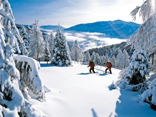 Vakantiepark Landal Bad Kleinkirchheim