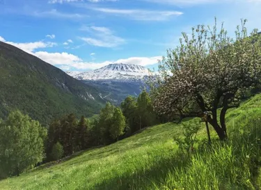 Rondreis Noorwegen met kinderen