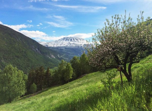 Rondreis Noorwegen met kinderen