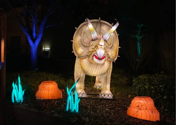 Wunderlight in Wunderland Kalkar