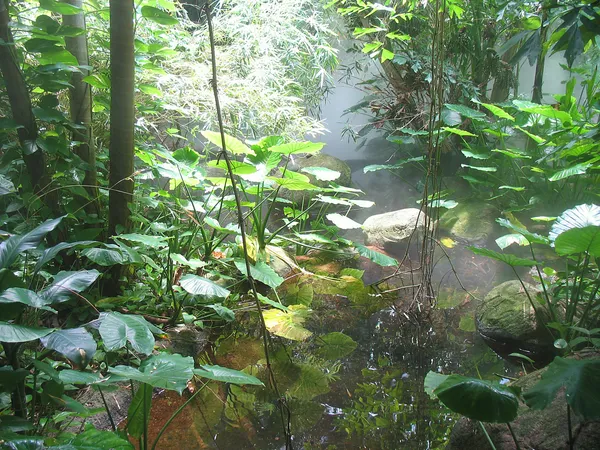 Nationaal Park Soberania