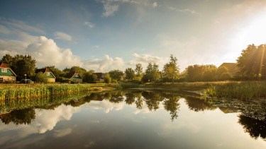 Hoofdafbeelding herfst.jpg