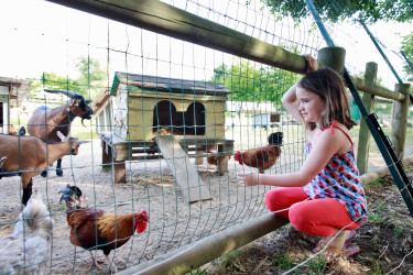 Camping Séquoia Parc