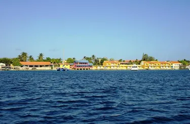 Divi Flamingo Beach Resort