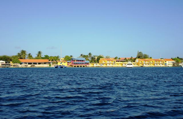 Divi Flamingo Beach Resort