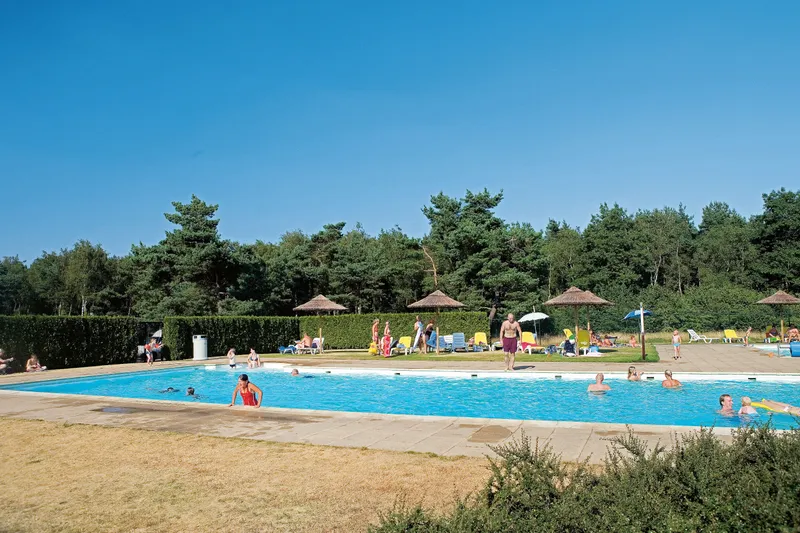 Hoofdafbeelding zomer.jpg