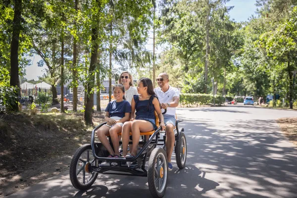 Roompot Bospark 't Wolfsven 