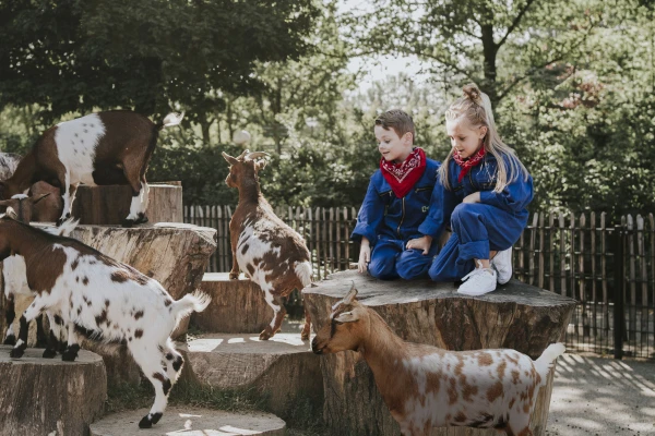 Twee kinderen in blauwe overalls zitten op boomstam naast geiten in de kinderboerderij van Vakantiepark Dierenbos