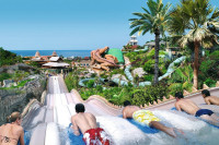 recently watched image