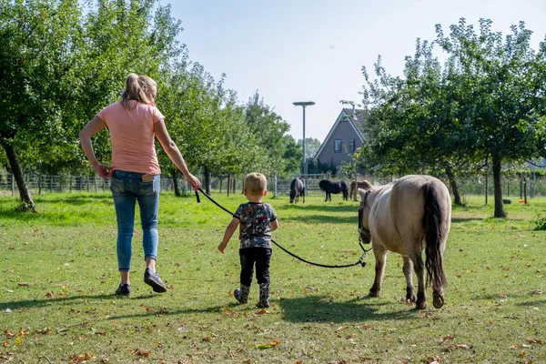 FarmCamps boerderij vakantie