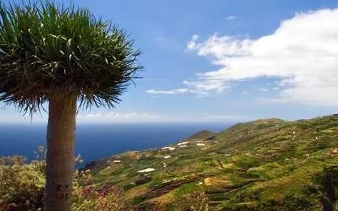 La Palma