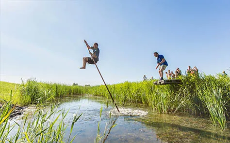 Ontdek wat groen kan doen in... Friesland