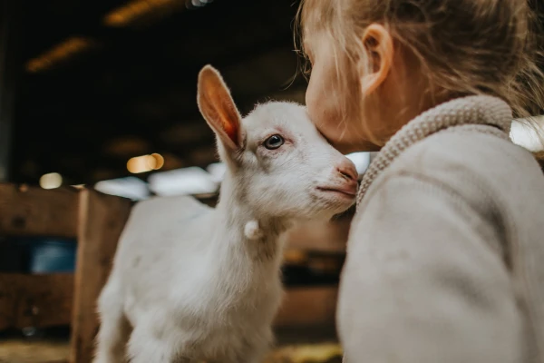 Hoofdafbeelding Lente.jpg