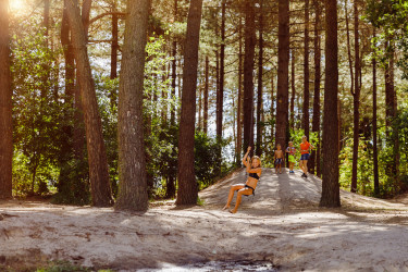 Hoofdafbeelding herfst.jpg