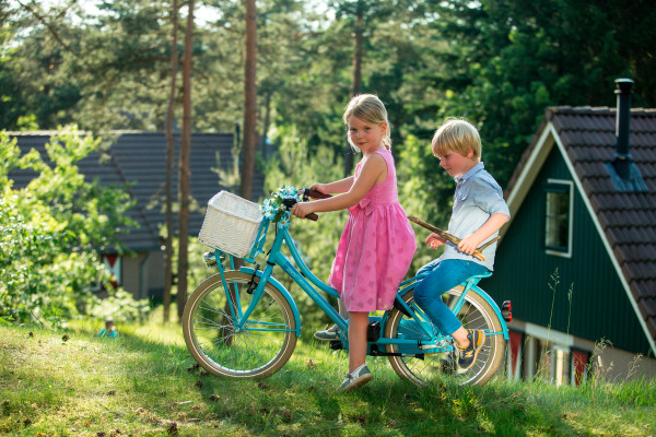 Hoofdafbeelding zomer.jpg
