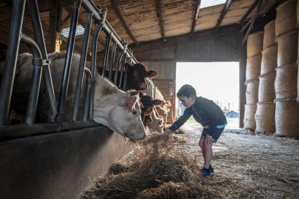 BoerenBed L'Étable des Mauges en Anjou