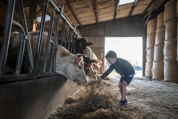 BoerenBed L'Étable des Mauges en Anjou