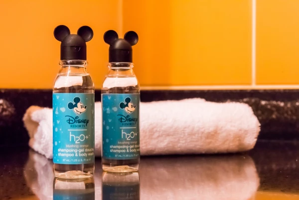 Disney's Hotel Santa Fe