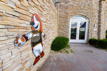 Dormio Resort Eifeler Tor