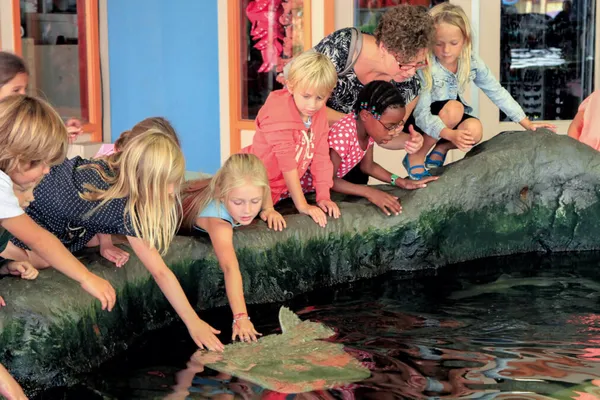 Spot veel zeedieren en check de educatieve voorstellingen