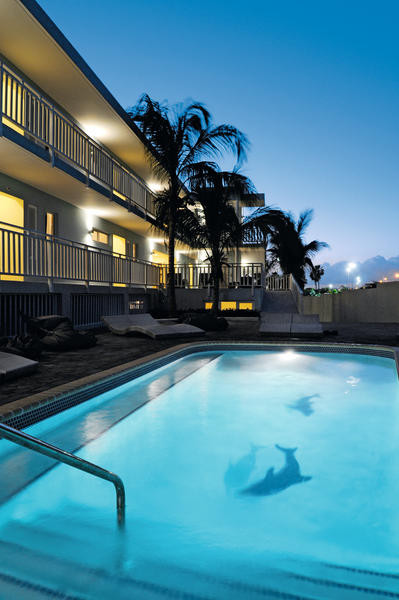 Dolphin Suites