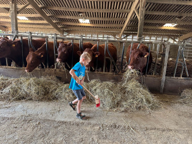 REVIEW: Boerenleven ontdekken bij BoerenBed L’Étable des Mauges