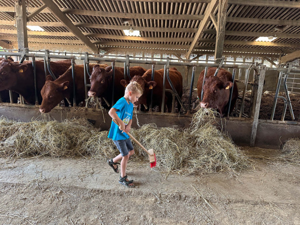 REVIEW: Boerenleven ontdekken bij BoerenBed L’Étable des Mauges