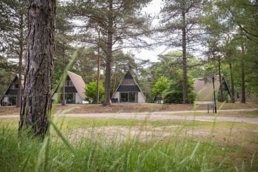 Roompot Bospark 't Wolfsven