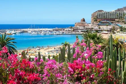 Zomervakantie 2026 Gran Canaria