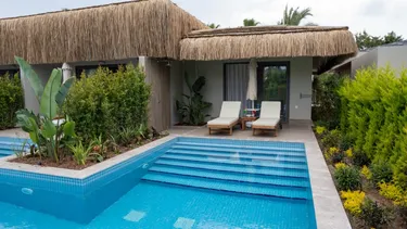 Royal Wings Turkije.jpg