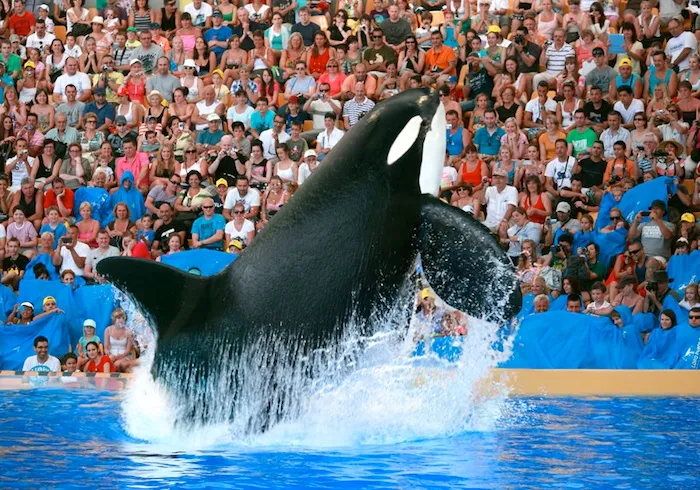Loro Parque Tenerife