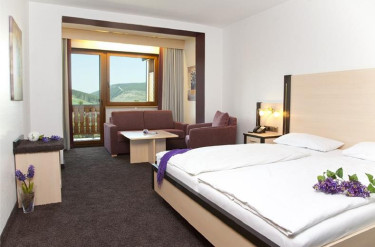 Waldhotel Willingen