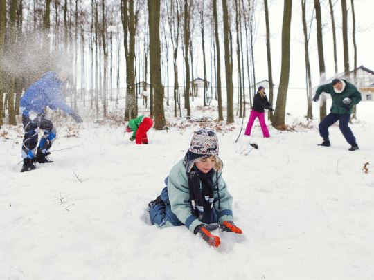 Vakantiepark Landal Winterberg