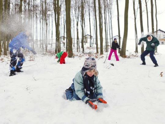 Vakantiepark Landal Winterberg