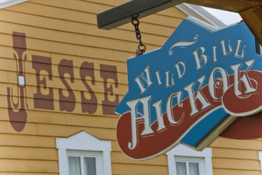 Disney Hotel Cheyenne