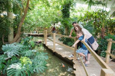 Hoofdafbeelding winter.jpg