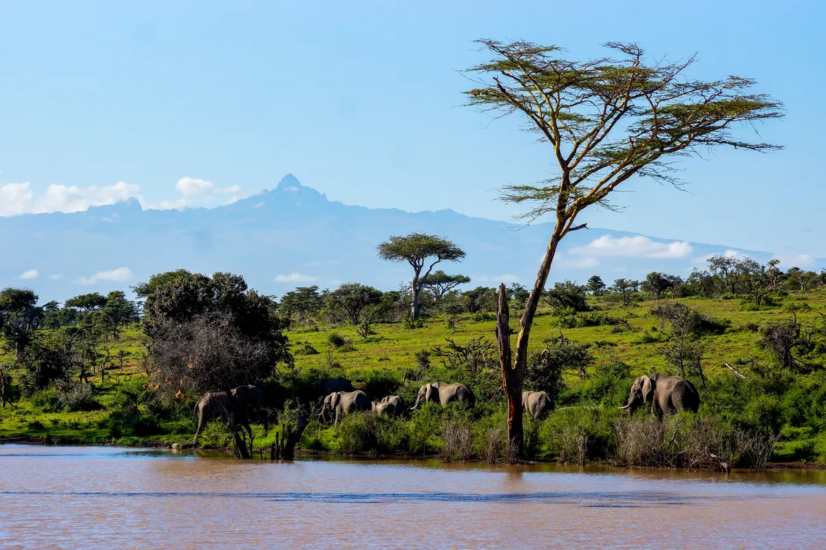 Kenia.jpg