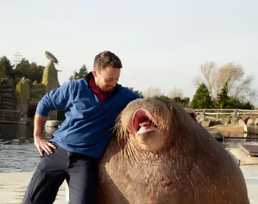 Walrus kleiner formaat.jpg