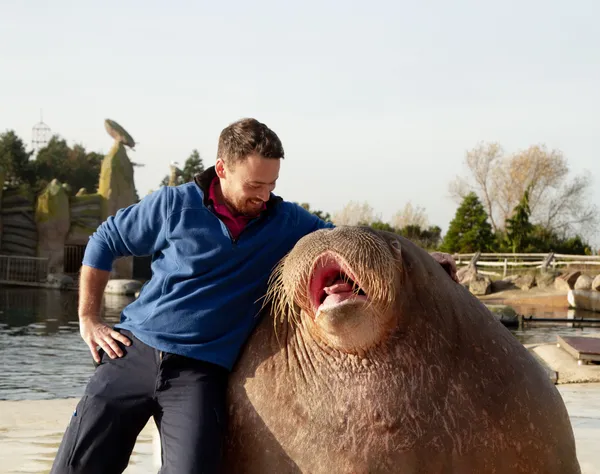 WAUW! Wat een leuke dierenweetjes!