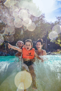 recently watched image