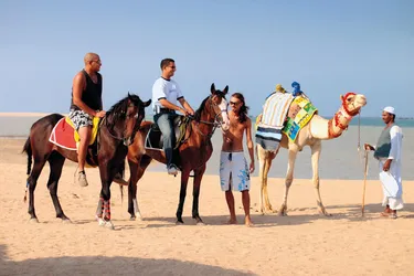 Hotel Royal Tulip Beach Resort