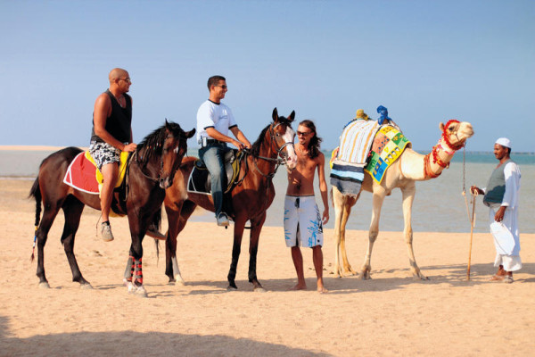 Hotel Royal Tulip Beach Resort