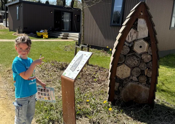 5x waarom jij Recreatiepark De Boshoek op je wishlist wilt zetten