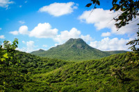 recently watched image