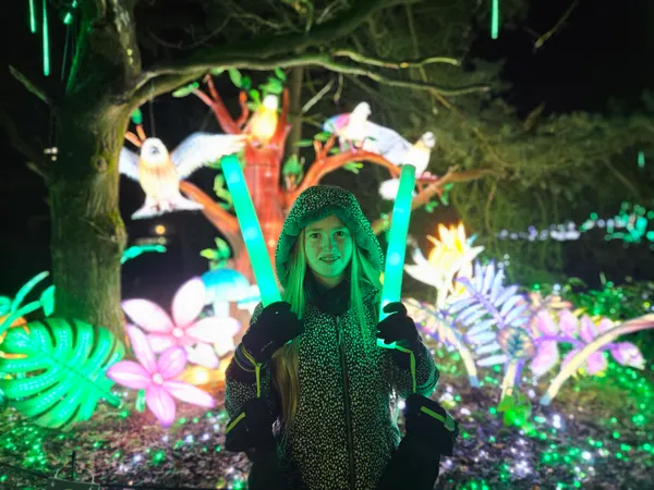 Beleef de magie van Light Safari Beekse Bergen