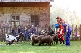Kinderen helpen met het voeren van de geitjes op de kinderboerderij van Vakantiepark Dierenbos