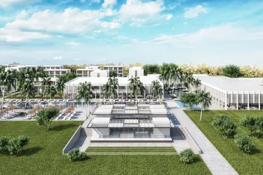 paloma-finesse (1).jpg