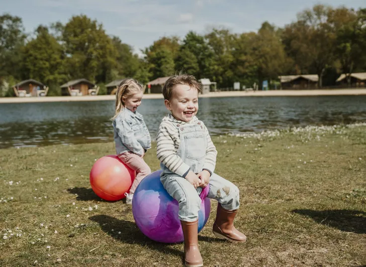Wat is er te doen voor kids bij Vakantiepark Dierenbos?