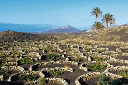 Landschap van Lanzarote
