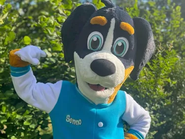 Senno de mascotte.jpeg